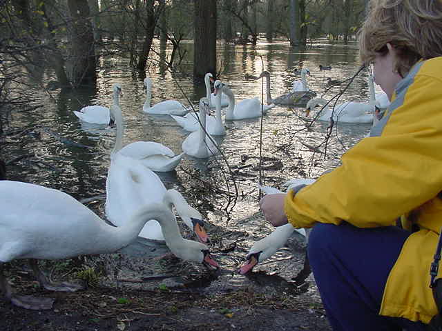 dsc00151.jpg