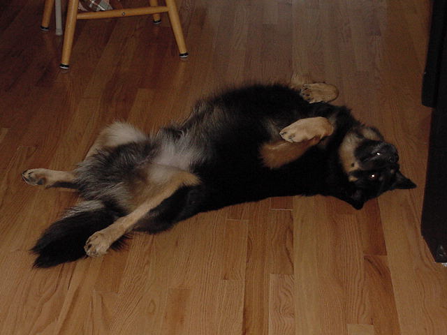 dsc00353.jpg